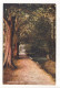 Bockhampton Path, Dorchester - Old Dorset Postcard - Andere & Zonder Classificatie