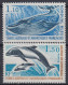 TIMBRE TAAF SERIE FAUNE 1977 N° 64 & 65 NEUFS ** GOMME SANS CHARNIERE - Unused Stamps