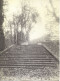 Grande Carte Postale Double Parc De Saint Cloud 1908 Eugène Atget Photographie - Saint Cloud