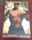 TELECARTE / CARTE TELEPHONIQUE AMERCICAINE SUR LE CATCH...PUZZLE  JOHN CENA - [6] Colecciones