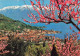 ITALIE - Salo - Largo Di Garda - Panorama - Au Font Le Mont Baldo - Vue Générale - Carte Postale Ancienne - Brescia