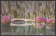 B377 Bridge Postcard, USA, Magnolia Plantation And Gardens, Charlesto, Carte Postale, Pont - Bridges