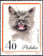 Pologne Poste N** Yv:1332/1341 Chats 1336 Petit Def.gomme - Unused Stamps