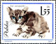 Delcampe - Pologne Poste N** Yv:1332/1341 Chats 1336 Petit Def.gomme - Unused Stamps