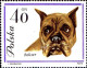 Pologne Poste N** Yv:1232/1240 Chiens De Race - Unused Stamps