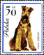 Pologne Poste N** Yv:1232/1240 Chiens De Race - Unused Stamps