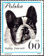 Delcampe - Pologne Poste N** Yv:1232/1240 Chiens De Race - Nuevos