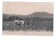 CORCIEUX - Vue Sur Corcieux Et Le Mont Thiriville - Paysans Et Leur Vache Au Champ - Cachet 1914 Médecin 66e Division In - Corcieux