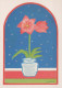 Buon Anno Natale FIORI Vintage Cartolina CPSM #PAZ932.A - Anno Nuovo