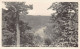 Cumberland Falls State Park (KY) View From Du Pont Lodge - REAL PHOTO - Andere & Zonder Classificatie