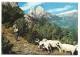 EL PEDRAFORCA 2498m..-ALT BERGUEDA.- SALDES - BARCELONA.- ( CATALUNYA ) - Barcelona