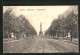 AK Berlin-Tiergarten, Siegesallee Mit Blick Zur Siegessäule  - Tiergarten