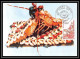 3675/ Carte Maximum (card) France N°2077 Gastronomie Française Homard Fdc Edition Empire 1980 - 1980-1989