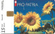 Switzerland: 1997 Sonnenblumen - Fiori
