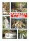 39-JURA CASCADES-N°3771-D/0199 - Andere & Zonder Classificatie