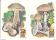 Russia 1986 - 5 Max Cards 5603-5607 Yv 5304-5308 Mushrooms - Mushrooms