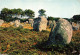 56  CARNAC MENHIRS DE KERLESCANT - Carnac