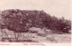 91 - Essonne - MAISSE - Les Rochers Du Poirier - Other & Unclassified