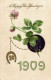 ANNO DATA 1909 - YEAR DATE 1909 - Quadrifoglio, Cloverleaf, Trèfle - Rilievo, Gaufré, Embossed - Scritta - #028 - New Year