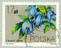 Pologne 1984 Yvert Et Tellier N 2721 Exp3(obl.) Fleurs Clematis Alpina - Usati