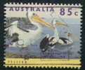 #580 - Australie/Oiseaux Pélican Yvert 1355 Obl - Pellicani