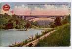 Pittsburg , Panther Hollow Bridge, Schenley Park, 1911 - Pittsburgh