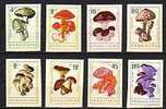 Bulgarie Bulgaria 1961 Yvertn° 1099-1106 Non Dentelé *** MNH Cote 12,50 € Paddestoelen Champignons - Ungebraucht