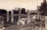 BONE ~ ANNABA [Algérie] - Les Ruines D´Hyppone Et La Basilique - Annaba (Bône)