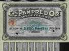 RARE : ETS. PAMPRE D\´OR # JUS DE FRUITS # ( BORDEAUX ) - Wasser