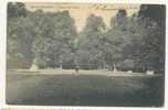 Tervueren , Park ,  Ocb Nr 81 , Stempel Tervueren , Zie Scans 1910 - Tervuren