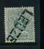 45 Met Naamstempel  LEUZE - 1869-1888 Leone Coricato