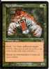 Tigre Jaillissant - Green Cards