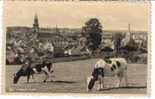 EUPEN   Blick Von Der Ybern Auf Die Oberstadt  Vue Sur La Ville Haute - Eupen