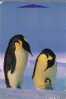 PENGUIN ( New Zealand ) Pingouin Manchot Pinguino Pinguin Penguins Polar Bird Polaire Oiseau Birds - Nueva Zelanda