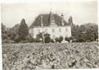 MORGON - Château Lagrange Cochard- Propriétaire Poulet à Morgon En Beaujolais. - Villie Morgon