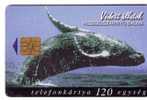 Animals - Undersea - Whale - Wal - Wals - Ballena - Baleine - Balena ( See Scan For Condition ) - Fische