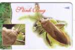 Singapore - Singapour - Fauna - Faune - Animals - Animaux - Insect - Insects - Insecte - Bug - ( Code 113SIGC ) - Altri & Non Classificati