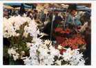 Nice: Marché Aux Fleurs, Lys (05-3951) - Marchés, Fêtes