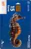 TRANSPARENT Card MORSKI KONJIC ( Croatia ) Seahorse - Hippocampe - Seepferdchen - Caballito De Mar - Cavalluccio Marino* - Pferde