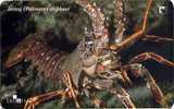 PALINURUS (Croatia) Lobster - Homard - Hummer - Centollo - Aragosta * Crab - Crabe - Krabbe - Cangrejo - Granchio Jastog - Poissons