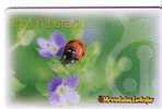 Croatia - Bug – Wanze – Punaise – Insect - Insecte – Insects - Bugs - Child - Enfant - Childrens - Enfanzs - Flowers  25 - Altri & Non Classificati