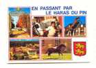 Cpm Haras Du Pin - Horse Show