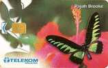 Malaysia - Butterfly - Rajah Brooke - Altri & Non Classificati