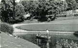 MONDORF-les-BAINS   -  Au Parc, Canotage   -  Carte Noir Et Blanc, Petit Format, Dentelée - Mondorf-les-Bains