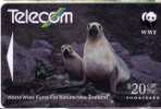 New Zealand - Fauna - Faune - Animals - Animaux - Animal - Undersea - Underwater - SEA LION  ( WWF  ) - Neuseeland