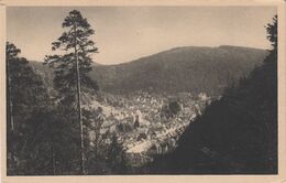 AK Triberg Schwarzwald Totale C. 1925 - Triberg