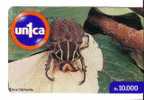 Venezuela Fauna – Faune - Bug – Wanze – Punaise – Insect - Insecte – Insects - Bugs - Insectes - INCA CLATHARATA - Altri & Non Classificati