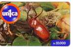 Venezuela Fauna – Faune - Bug – Wanze – Punaise – Insect - Insecte – Insects - Bugs - Insectes - GOLOFA PORTERI - Altri & Non Classificati