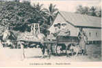 A La Station De WaÏma - Nouvelle Guinée - Papua Nueva Guinea