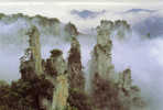 PRE-STAMPED POSTCARDS - CHINA - WORLD NATURE HERITAGE 1998-"Wulingyuan Scenery" - Maximumkaarten
